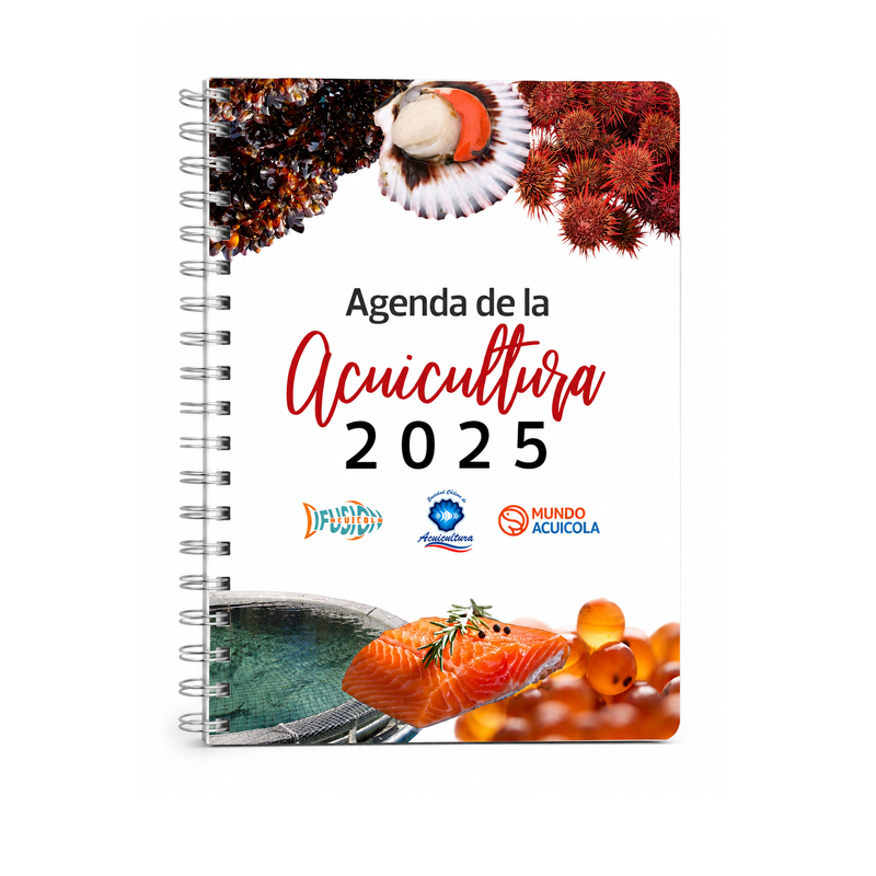 Diseño editorial Vera 2