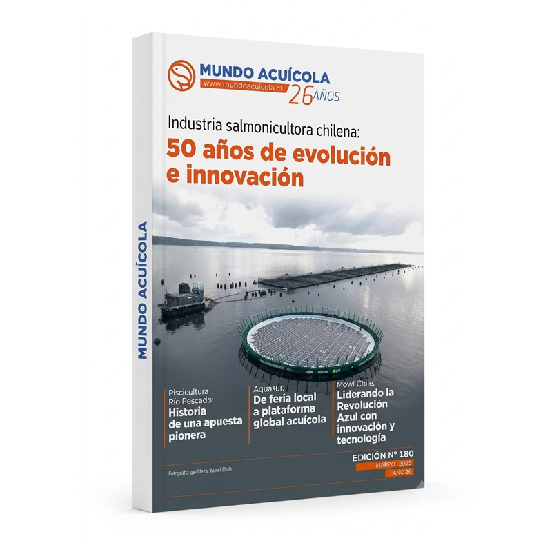 Trabajo del portafolio Vera